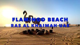 Flamingo Beach Ras Al Khaimah UAE