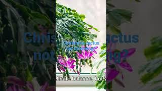 Watch full video to learn and subscribe