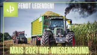 Fendt Legenden im Mais 2021! + Claas Jaguar TT beim Hof Wiesengrund || JP Agrar