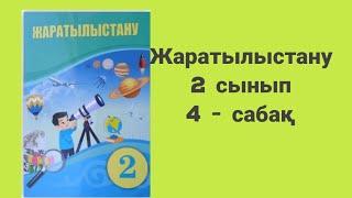 Жаратылыстану 2 сынып 4 сабақ