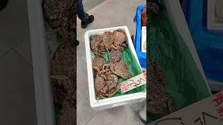 新しいスーパーマーケットの開店。魚介類. Рыба и морепродукты в японском супермаркете. #japan #saitama #fish