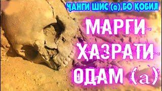 Вафот кардани ҳазрати ОДАМ (а). Ҷанги Шис (а) бо Қобил - аввалин одамҳо дар замин