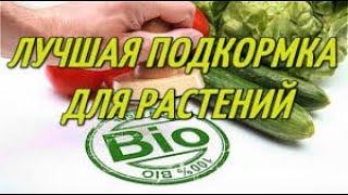 АТ275 Вермичай СУПЕРУДОБРЕНИЕ применение от Ткаченко. Вермичай из Вермиреактор, Биовегитарий Николая