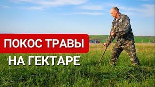Чем лучше косить траву в поместье? Покос травы на большом участке со сложным ландшафтом