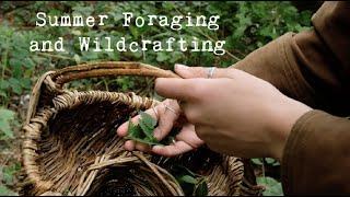 Foraging Diary  Summer Memories