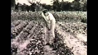 The Gardens of Victory (WWII film)