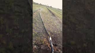 mini fountainin farming | નાના ફુવારા પદ્ધતિ | चोटे फुव्वारे | #fountain #shorts #moyemoye #animal