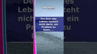 SINN DES LEBENS... ️ #shorts #lifefacts #facts #zitate #sprüche #nachdenklich #lustig