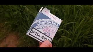 Треш обзор. БЕЛОМОРКАНАЛ (Удаленное видео 2021) Обзор, цена, вкус, стоит ли покупать?