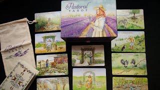 Обзор на колоду Таро "Pastoral tarot"