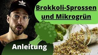 Brokkoli-Sprossen und Mikrogrün ziehen- Anleitung- die gesündesten Sprossen!