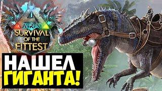 ТАКАЯ СЛАБАЯ ГИГА В ГОЛОДНЫХ ИГРАХ ARK!!! ИМБОВАЯ ЖИВКА В ARK Survival Of The Fittest