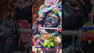 Radhe Radhe Shyam Japu Main Tere Galiyo Mein | #krishna