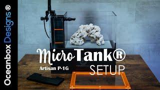 MicroTank® Peninsula 1 Gallon MicroReef Build - How to Setup a Pico Reef Tank