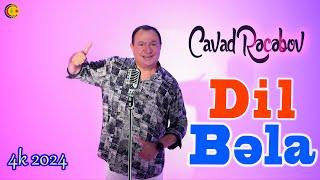 Cavad Recebov || Dil Bəla || Official klip 2024 || 4k -