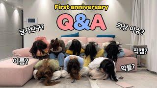 원스 1주년 기념 Q&A! 무엇이든 물어보세용‍️ | 악플? 남자친구? 직캠?