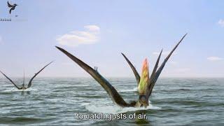 Tapejara: The Pterosaur who could not only fly but also swim well like a swan | Flying Monsters 3D