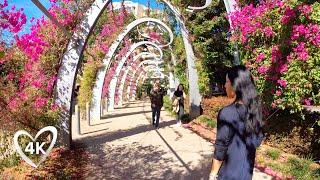 Brisbane River Walk 4K - Relaxing Virtual Tour with Natural Sounds - Treadmill Walk