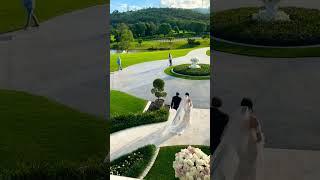 A dream wedding nestled in the lush Gold Coast ...     #shorts