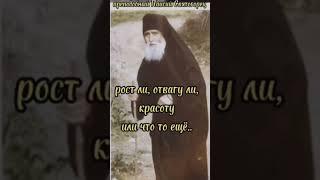 Преподобный Паисий Святогорец️ #православие #христианство #бог #вера