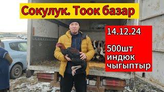 тоок базар. Сокулук 15.12.24