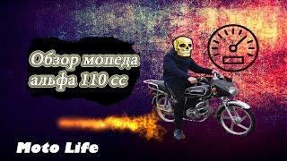 Обзор мопеда Альфа 110 | #ALPHASTOK