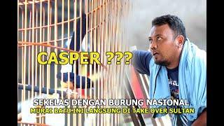 CASPER KAH??? Murai Batu Ini Langsung Di Take Over Sultan.