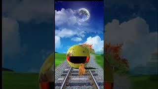 Pac-Man attack video cat and VFX video short video#