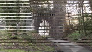 Tour of Ashford Castle with the Discerning Travelers