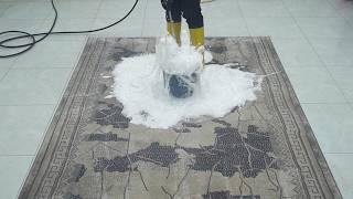 Soft & Spotless Carpet Cleaning Pros