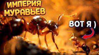 ИМПЕРИЯ МУРАВЬЕВ ( Empire of the Ants )