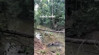 Nature #casting #kelah