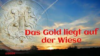 Das Gold liegt auf der Wiese. Aber auch andere Funde waren am letzten Tag eine Überraschung !