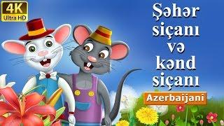 Şəhər siçanı və kənd siçanı | Town Mouse And The Country Mouse in Azeri | Azərbaycan Nağılları