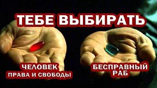 КАКИЕ у Человека есть ПРАВА и Свободы? ПОЧЕМУ Человек не пользуется своими ПРАВАМИ? Не УМЕЕТ?