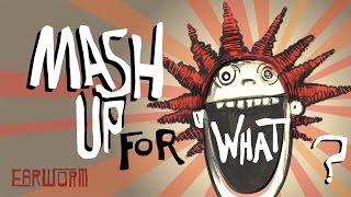 DJ Earworm - Mash Up for What