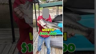 THEY ATE A $100,000 BASS?!?!?  #fishing #outdoors #shorts