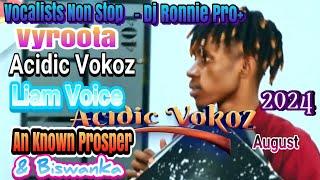 Best of Vyroota,Acidic Vokoz,Liam Voice,An Known & Vyroota Non Stop 2024(Vocalist) - Dj Ronnie Pro+