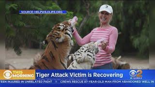 Moorpark Woman Recovering After Being Attacked By Tigers At Animal Sanctuary