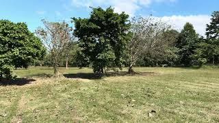 Sta. Elena Golf and Country Estate Lot for Sale, Gliceria Place (2,139 sqm)
