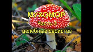 Мухомор часть - 3. Целебные свойства.