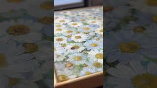 https://florafaunaartistry.etsy.com #oilpainting #daisy