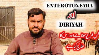 E.T.V or DIRIYAH symptoms + Treatment // ustad farhan gujjar