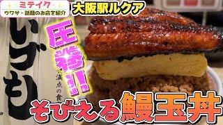 【大阪梅田】ド迫力️そびえる鰻玉丼【いづも】/Eel bowl