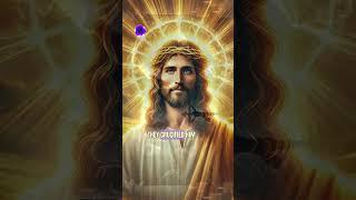 Follow His Light