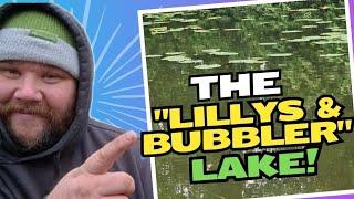 The Lillypad and Bubblers lake | Danny's Angling Blog | Carp Fishing Adventure