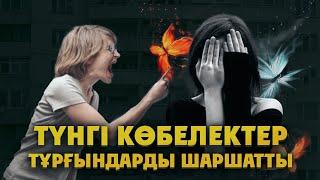 Түнгі көбелектер тұрғындарды шаршатты
