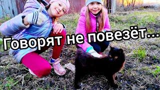 Игривый ЧЁРНЫЙ КОТИК! Аля и Дарья нашли котëнка! Кормят НАЙДЁНЫША