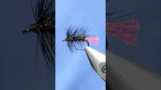 Fly Tying a Black Zulu best wet flies for trout tutorials #shots