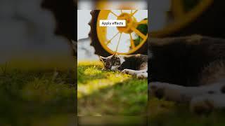 Why Editing Matters PT. 3 #photography #editing